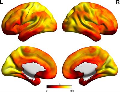 Global Signal Topography of the Human Brain: A Novel Framework of Functional Connectivity for Psychological and Pathological Investigations